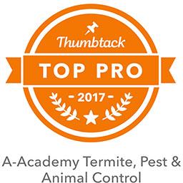 thumbtack
