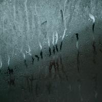 Moisture on Glass Window