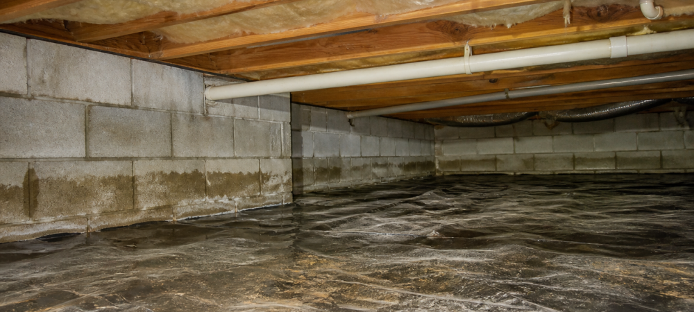a crawl space with moisture issues