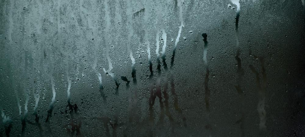 Moisture on Glass Window